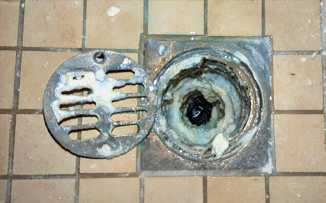 https://blockeddrainsattadale.com.au/uploads/2025/07/blocked-shower-drains-33151.jpg