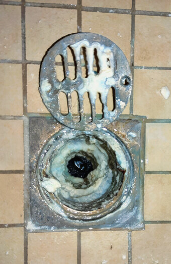 https://blockeddrainsattadale.com.au/uploads/2025/07/blocked-shower-drains-86331.jpg
