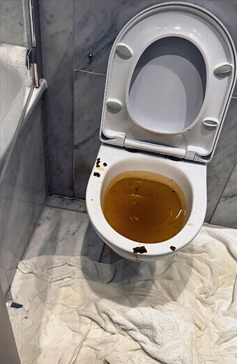 https://blockeddrainsattadale.com.au/uploads/2025/07/blocked-toilet-27793.jpg