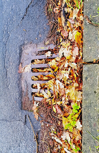 https://blockeddrainsattadale.com.au/uploads/2025/07/stormwater-drains-48051.jpg